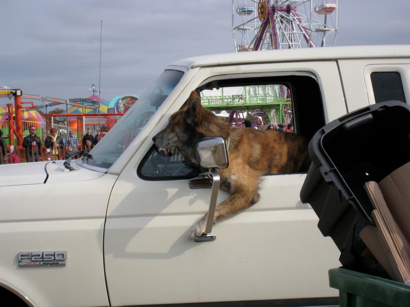 Loading Image