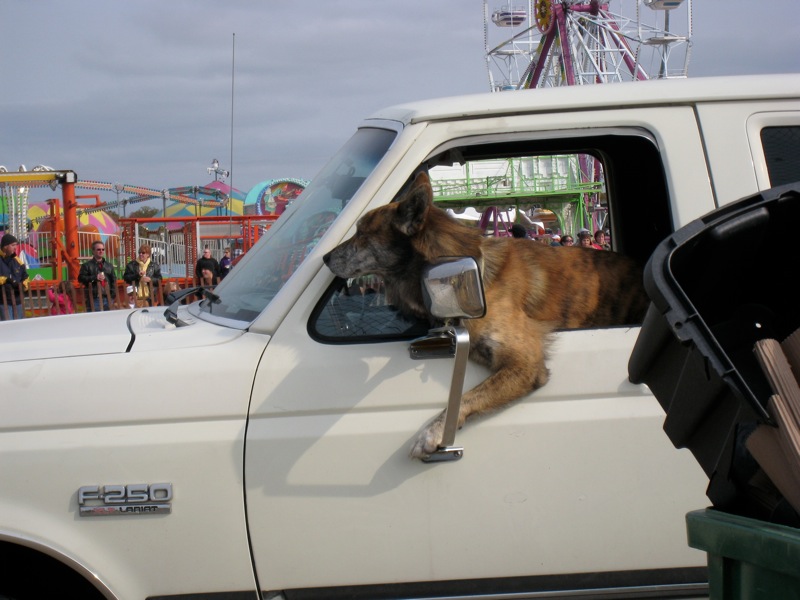 Loading Image