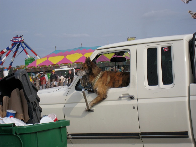 Loading Image
